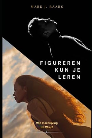 Figureren kun je Leren book cover